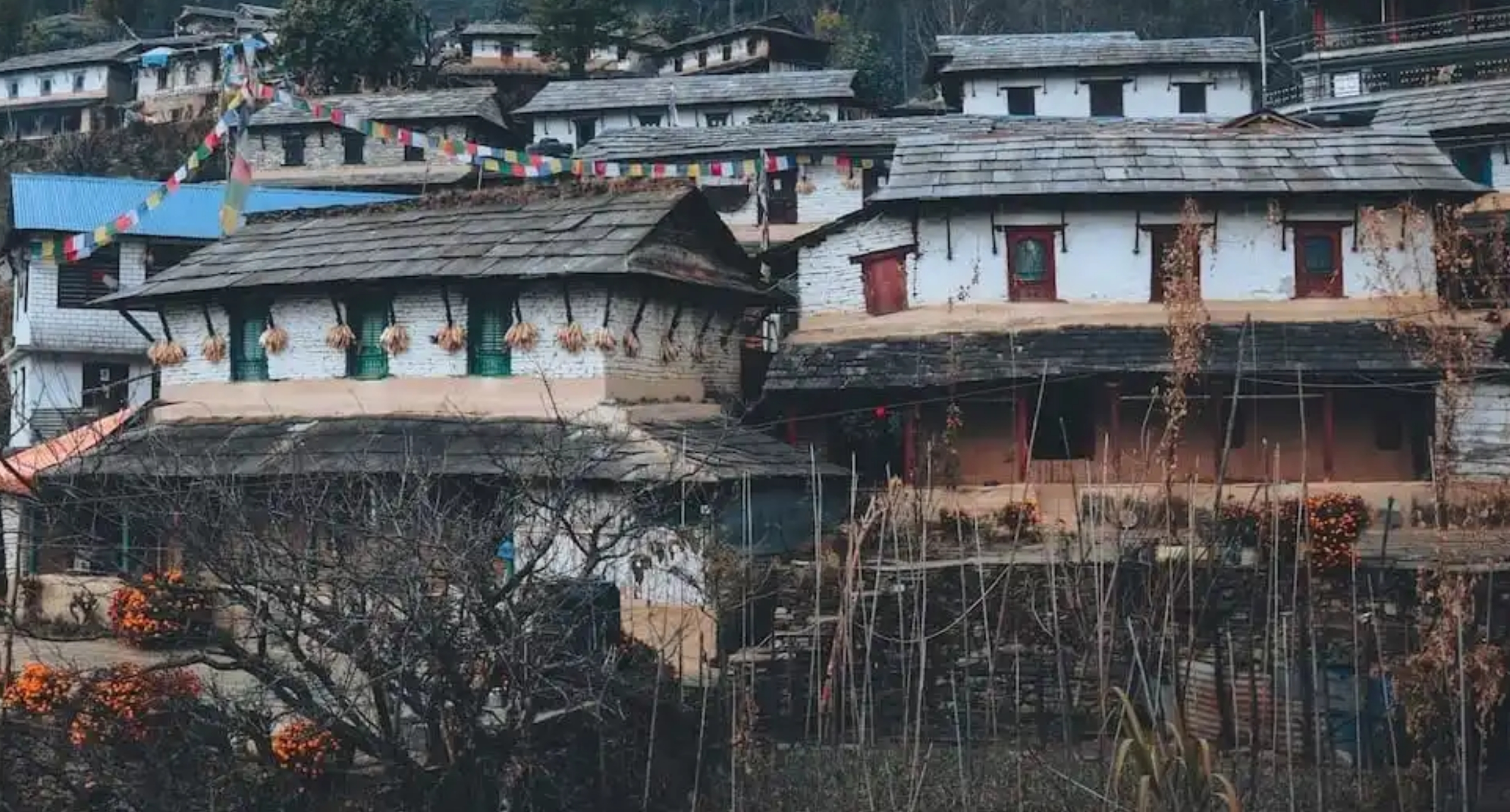 Property Micro Insurance