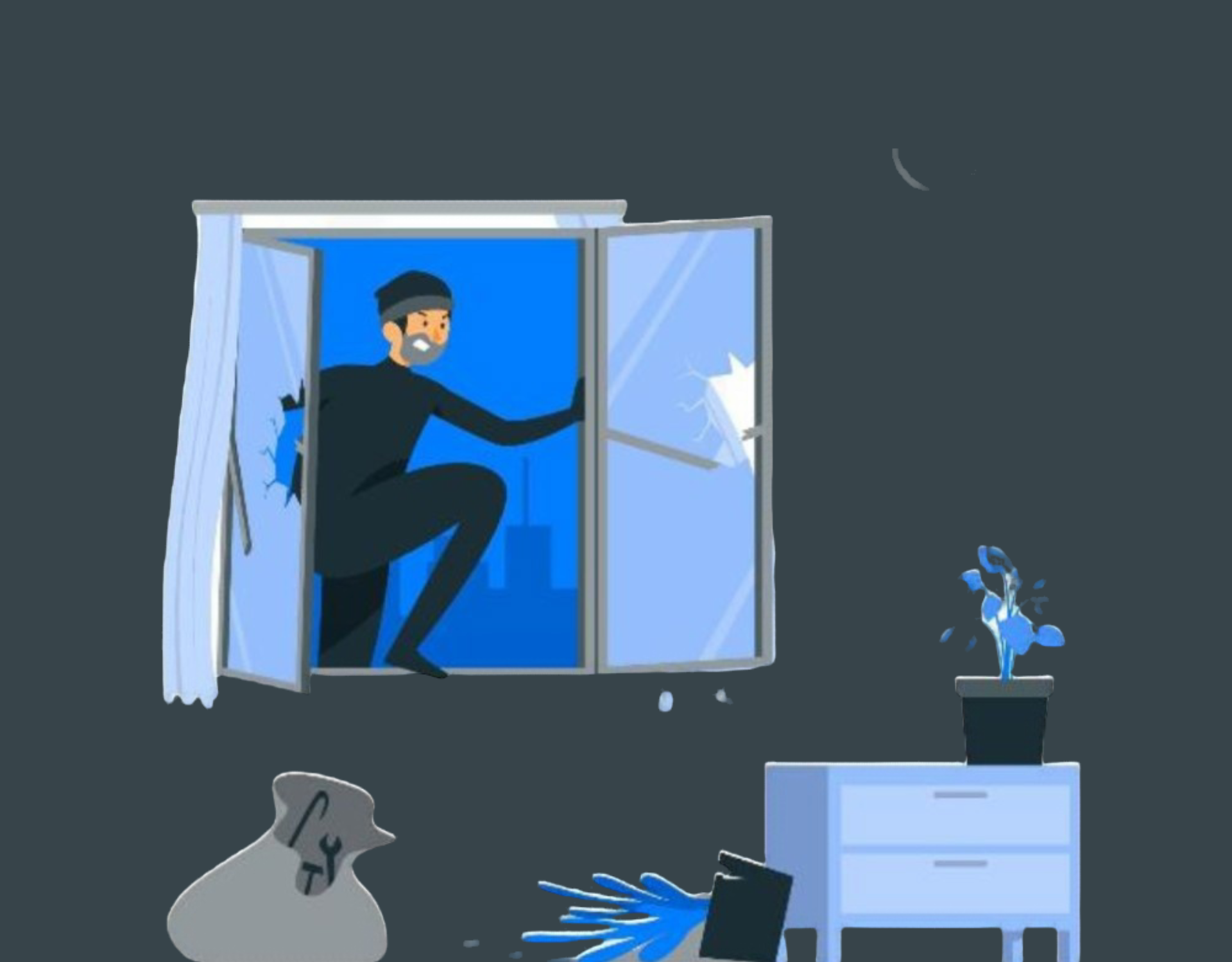 Burglary/ theft micro insurance